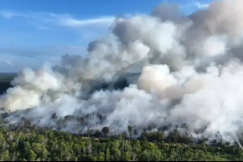 UGM Ingatkan Mitigasi Karhutla di Musim Kemarau, BMKG Prediksi 57,2% Wilayah Terdampak