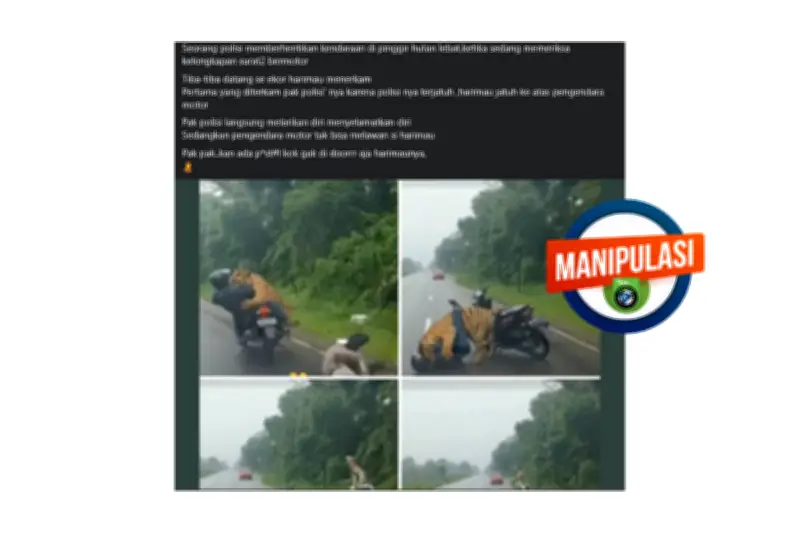 Video Viral Pengendara Motor Diterkam Harimau Saat Ditilang Polisi, Fakta atau Hoaks?