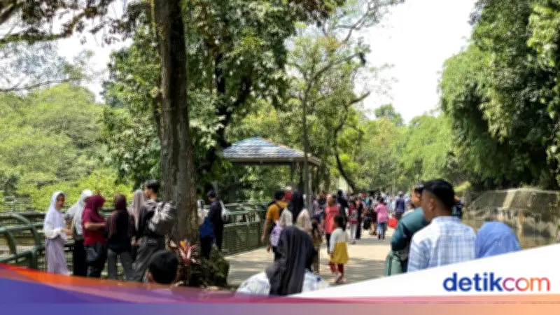 Warga Karawang Pilih Ragunan Saat Lebaran: Liburan Murah Meriah Tanpa Mudik