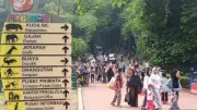 421.869 Wisatawan Serbu Ragunan Selama Libur Lebaran 2026, Lampaui Target