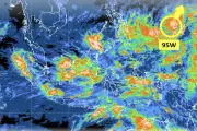 BMKG Deteksi Bibit Siklon Tropis 95W di Utara Papua, Kecepatan Angin 46 Km/Jam