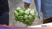 Bolehkah Makan Sebelum Salat Idul Fitri? Ini Penjelasan Lengkap dari MUI dan Ulama