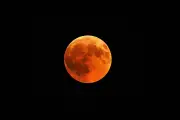 Fenomena Blood Moon Akan Hiasi Langit Indonesia di Tengah Ramadhan 1447 H