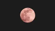 Fenomena Pink Moon Akan Menghiasi Langit Malam 1 April 2026, Ini Waktu Terbaik untuk Mengamatinya