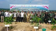 Kemenhut Luncurkan Program Reforestasi di Taman Nasional Tesso Nilo untuk Pulihkan Habitat Gajah Sumatera