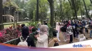 Warga Bekasi Ajak 20 Keluarga Besar ke Ragunan Habiskan Sisa Libur Lebaran