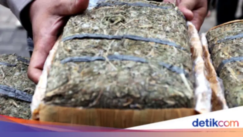 22 Biksu Ditangkap di Sri Lanka Bawa 110 Kg Ganja dari Thailand