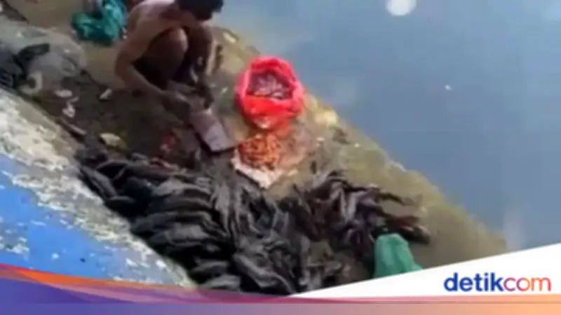 5 Pria di Jakpus Diamankan Saat Cari Ikan Sapu-sapu untuk Siomai