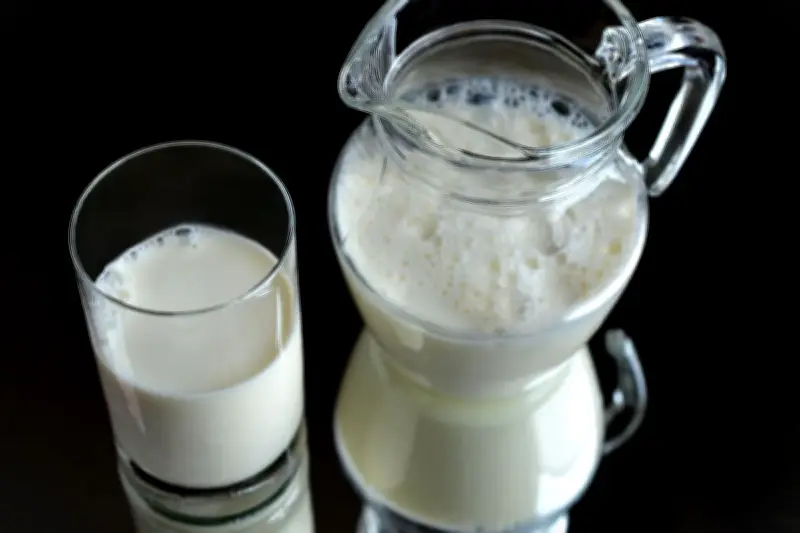 6 Makanan Berkalsium Tinggi sebagai Alternatif Pengganti Susu