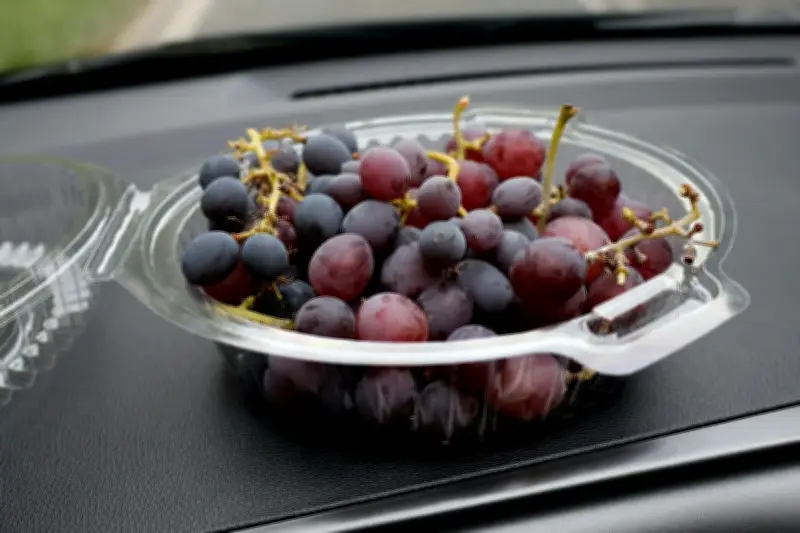 Alasan Kemasan Anggur Sering Berlubang, Bukan Hanya Estetika