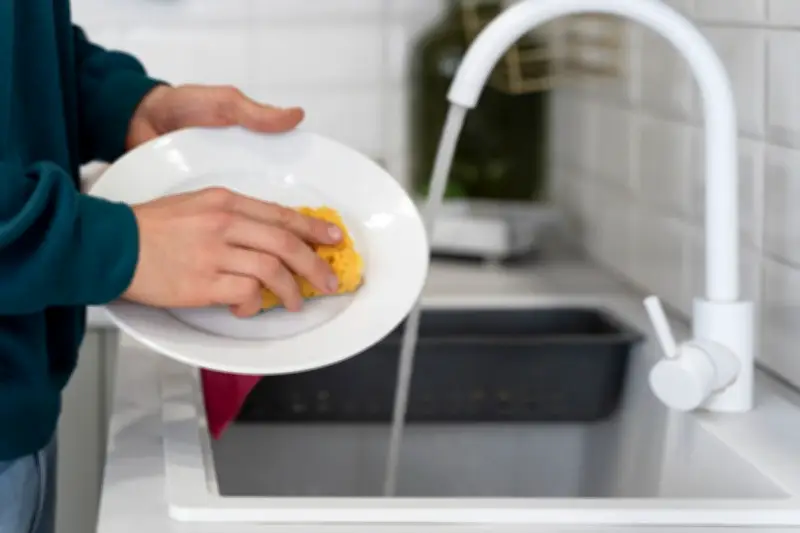 Alternatif Alami Sabun Cuci Piring: Solusi Ramah Lingkungan di Dapur