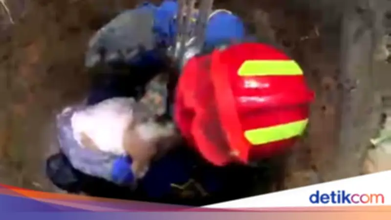 Anjing Tercebur Sumur di Bogor, Srikandi Damkar Turun Evakuasi