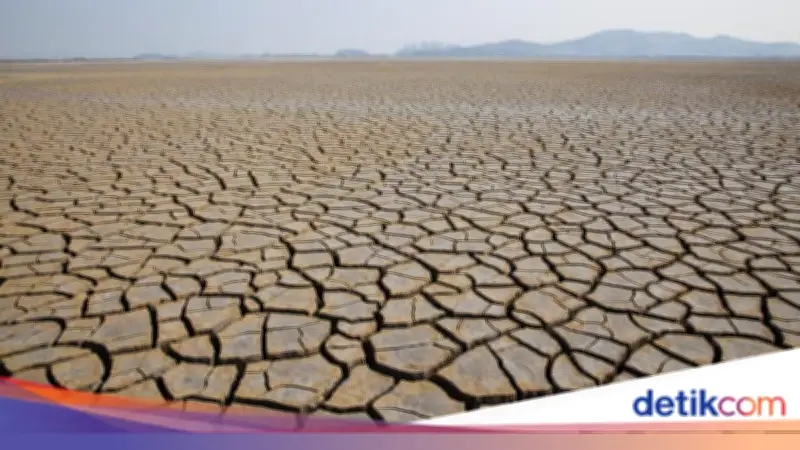 Apa Perbedaan Kemarau dan El Nino? Simak Penjelasan Lengkapnya