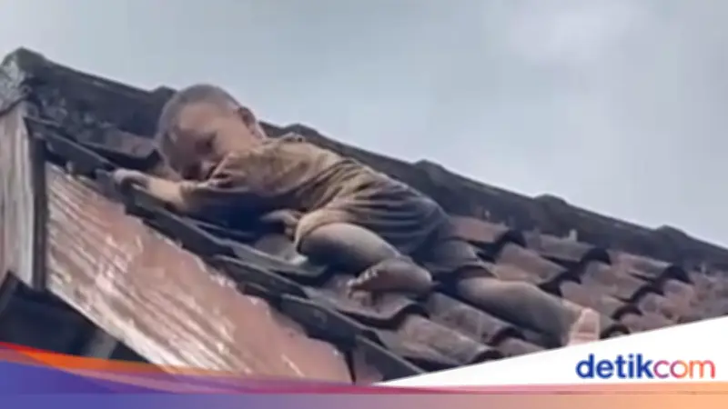 Balita di Lombok Tengah Merayap di Atas Genteng, Proses Evakuasi Penuh Ketegangan