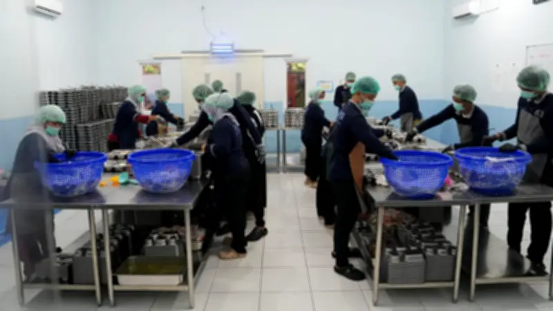 BGN Terapkan Prinsip 'No Service, No Pay' untuk Hentikan Insentif SPPG Jika Fasilitas Tak Layak