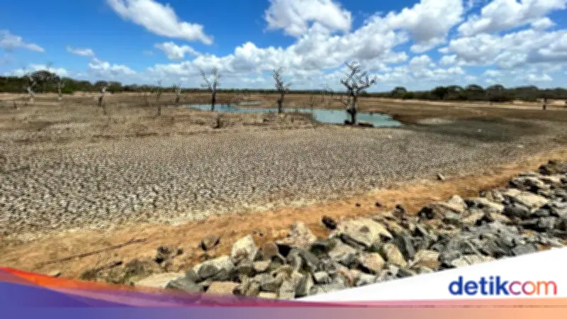 BMKG Umumkan Daftar Wilayah Indonesia yang Sudah Masuk Musim Kemarau April 2026