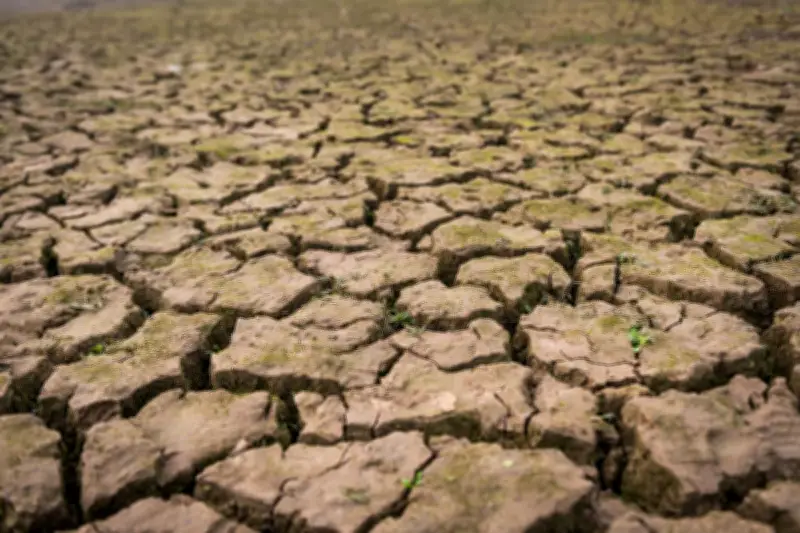 BPBD DKI Fokuskan Penanganan Air Bersih dan Mitigasi Hadapi Kemarau Panjang El Nino