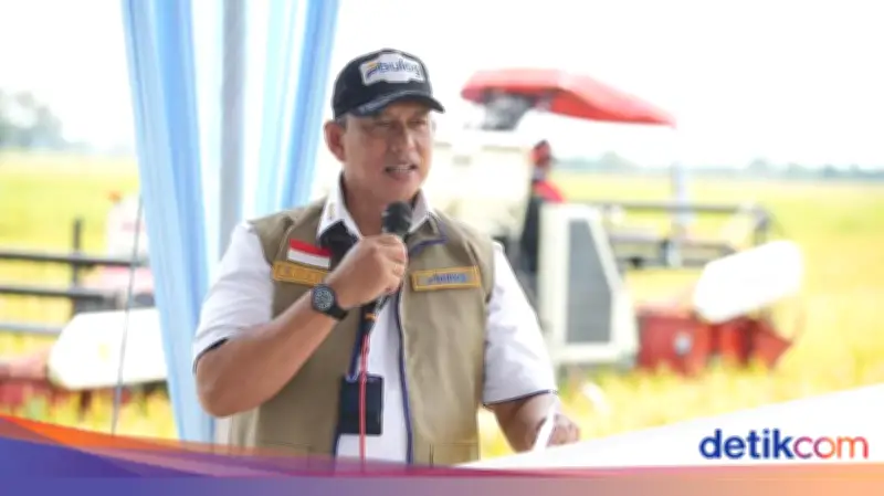 Bulog Pastikan Stok Beras Nasional Aman Hadapi Kemarau Panjang El Nino