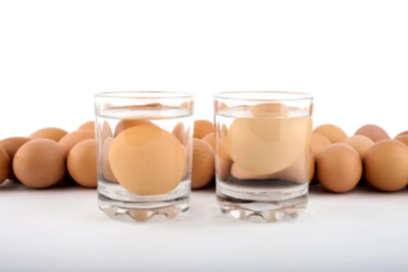 Cara Mudah Cek Kualitas Telur dalam 30 Detik, Hindari Telur Busuk