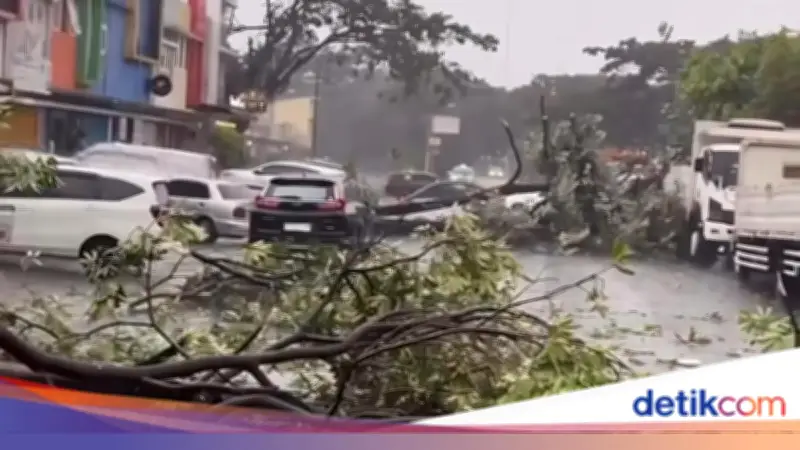 Cuaca Ekstrem Bekasi: Hujan Es dan Angin Kencang Picu Pohon Tumbang