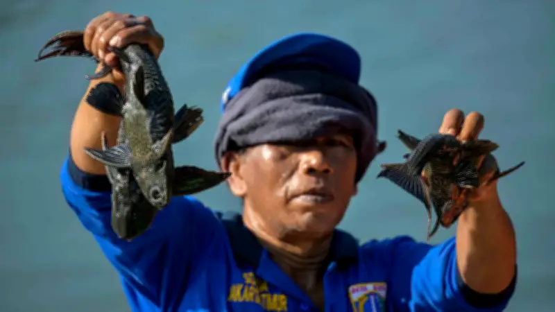 DKPKP DKI Ungkap Perbedaan Siomai Ikan Tenggiri dan Sapu-sapu
