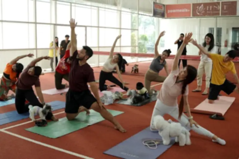Dog Yoga di Jakarta: Tren Humanisasi Hewan Peliharaan Menuju JIPS 2026