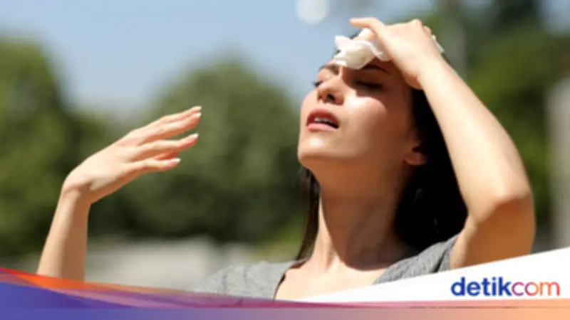 El Nino dan Musim Kemarau Berbeda, BMKG Jelaskan Dampak Gabungannya di 2026