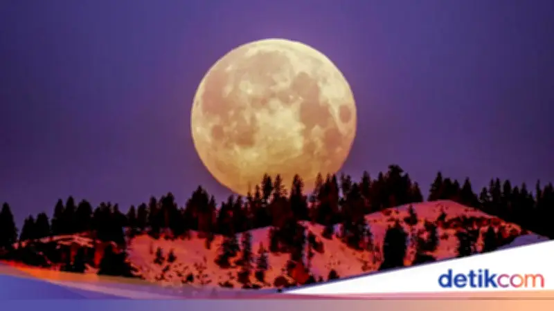 Fenomena Flower Moon di Mei 2026, Catat Waktu dan Tips Melihatnya