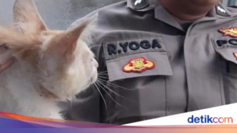 Geger Laporan Balita Jatuh Sumur di Ciputat, Ternyata Anak Kucing yang Diselamatkan