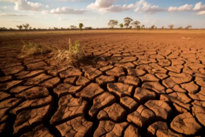 Hoaks! BMKG Bantah Kemarau 2026 Terparah dalam 30 Tahun