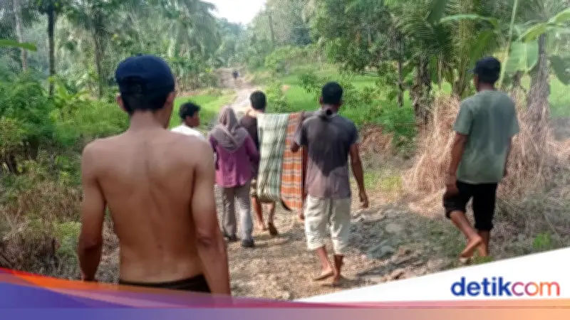 Ibu di Pandeglang Ditandu 1 Km Usai Melahirkan Akibat Jalan Desa Rusak Parah