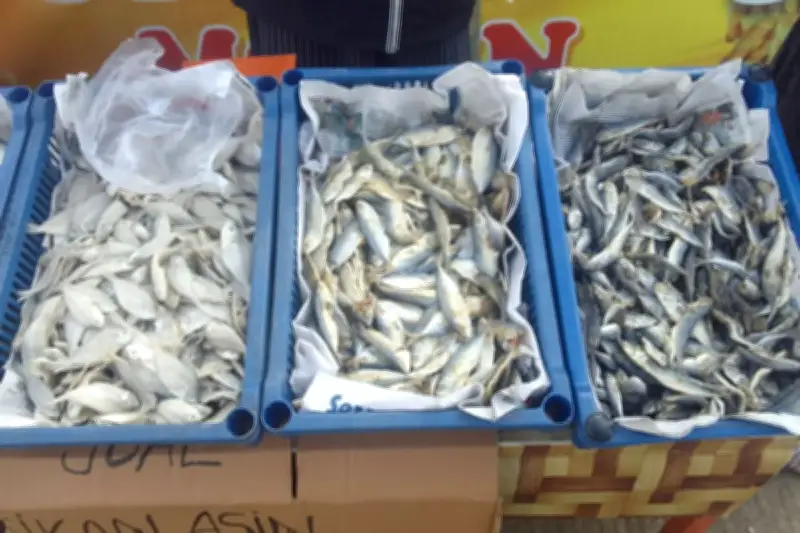 Ikan Asin Disebut Karsinogenik, Ini Fakta dan Penjelasannya
