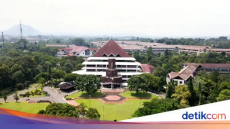 IPB Investigasi Dugaan Pelecehan Seksual di Grup Chat Mahasiswa, Ini Hasilnya