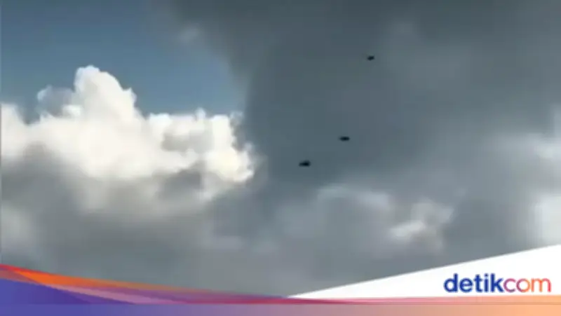 Kawanan Lebah Serbu Tol Bali Mandara, BKSDA Jelaskan Fenomena Swarming