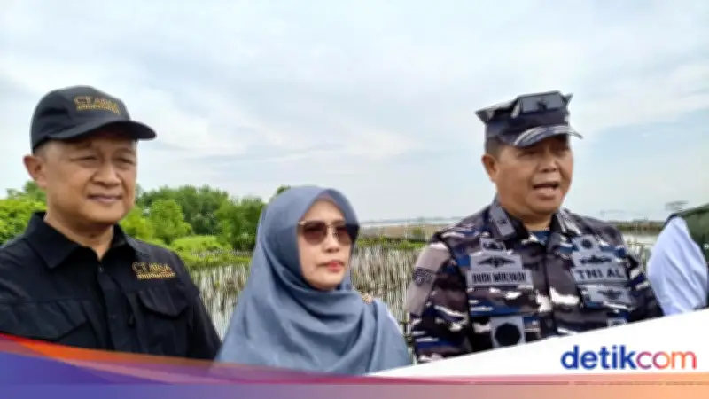 Koarmada RI Apresiasi CT Arsa Foundation Gelar Bersih-bersih dan Tanam Mangrove