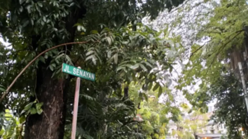 Makam Kucing di Senayan, Bukti Ketulusan Pecinta Hewan di Tengah Kota