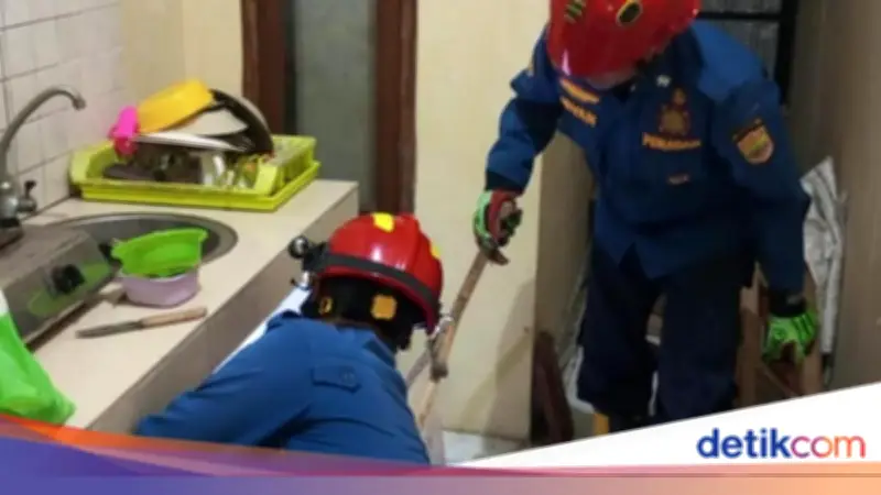 Malam-malam, Damkar Ciamis Dievakuasi Katak dari Rumah Warga