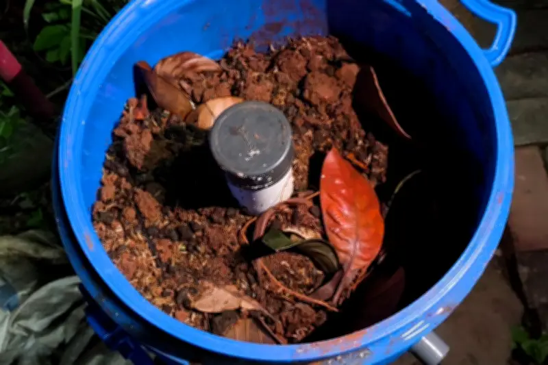 Manfaat Sisa Bahan Dapur untuk Kesuburan Tanaman