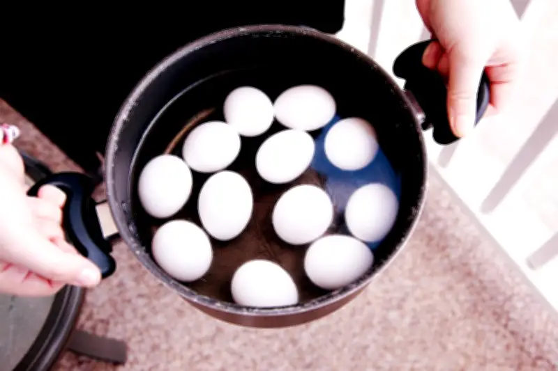 Mengapa Telur Tidak Boleh Dipanaskan dalam Microwave? Ini Penjelasan Ilmiahnya