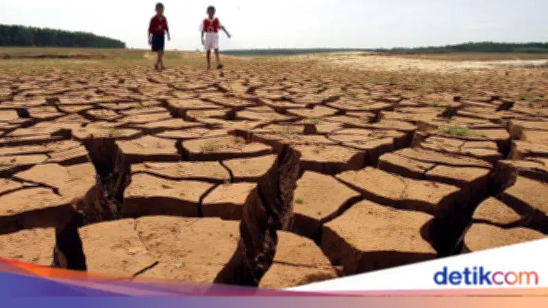 Mengenal Fenomena El Nino 'Godzilla': Asal-usul Nama dan Dampaknya di Indonesia