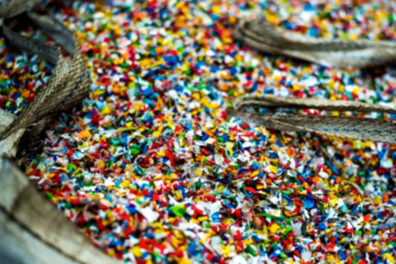 Mikroplastik Mengintai dalam Rantai Pangan, Ancaman Tersembunyi di Meja Makan