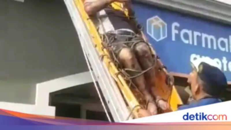 Momen Damkar Evakuasi Penghuni Apartemen di Tanjung Duren yang Terjebak