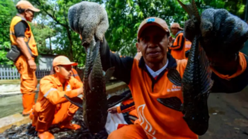 MUI Soroti Metode Pemusnahan Ikan Sapu-Sapu dengan Penguburan Hidup-Hidup