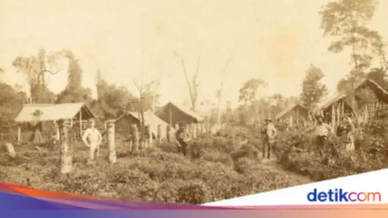 Nueva Germania: Utopia Arya Gagal di Paraguay