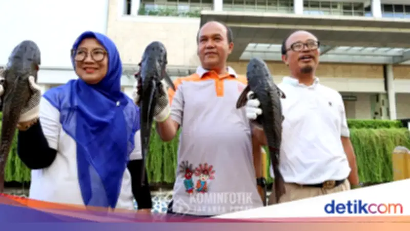 Operasi Gabungan Tangkap 41 Ikan Sapu-sapu di Kali Cideng Jakarta