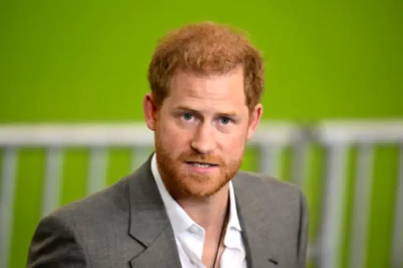 Pangeran Harry Digugat Sentebale, Lembaga Amal yang Ia Dirikan untuk Diana