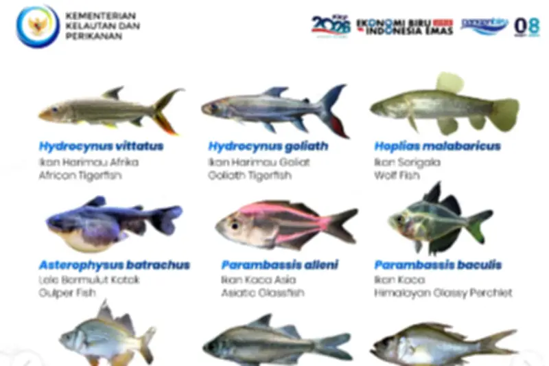 Pemprov DKI Jakarta Basmi 68.800 Ikan Sapu-Sapu Secara Serentak