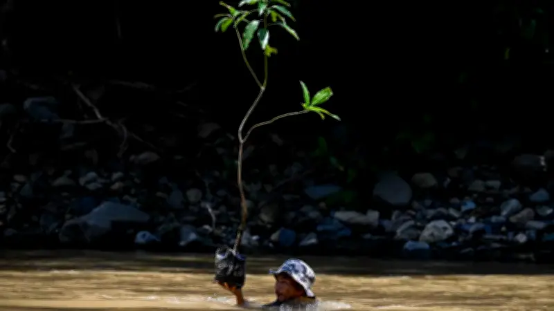 Peringati Hari Bumi 2026, PTPN Group Tanam Satu Orang Satu Pohon