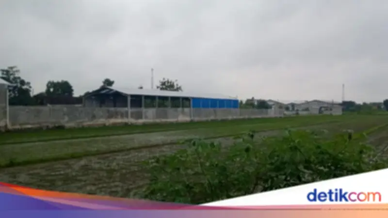 Polda Jateng Bongkar Gudang Penyimpanan Mobil dan Motor Selundupan