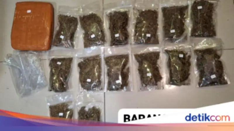 Polda Metro Gagalkan Peredaran Ganja 6,2 Kg di Depok, Satu Pelaku Diamankan